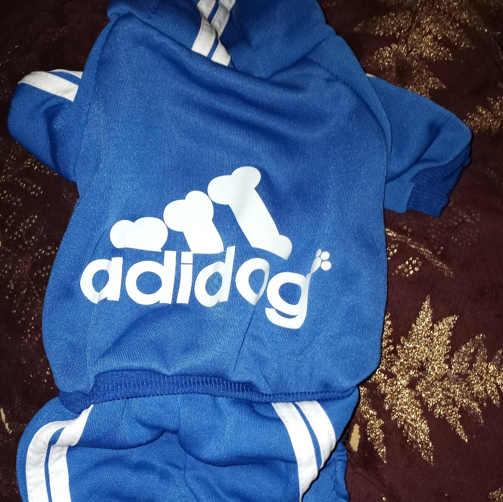 Small dog track suit